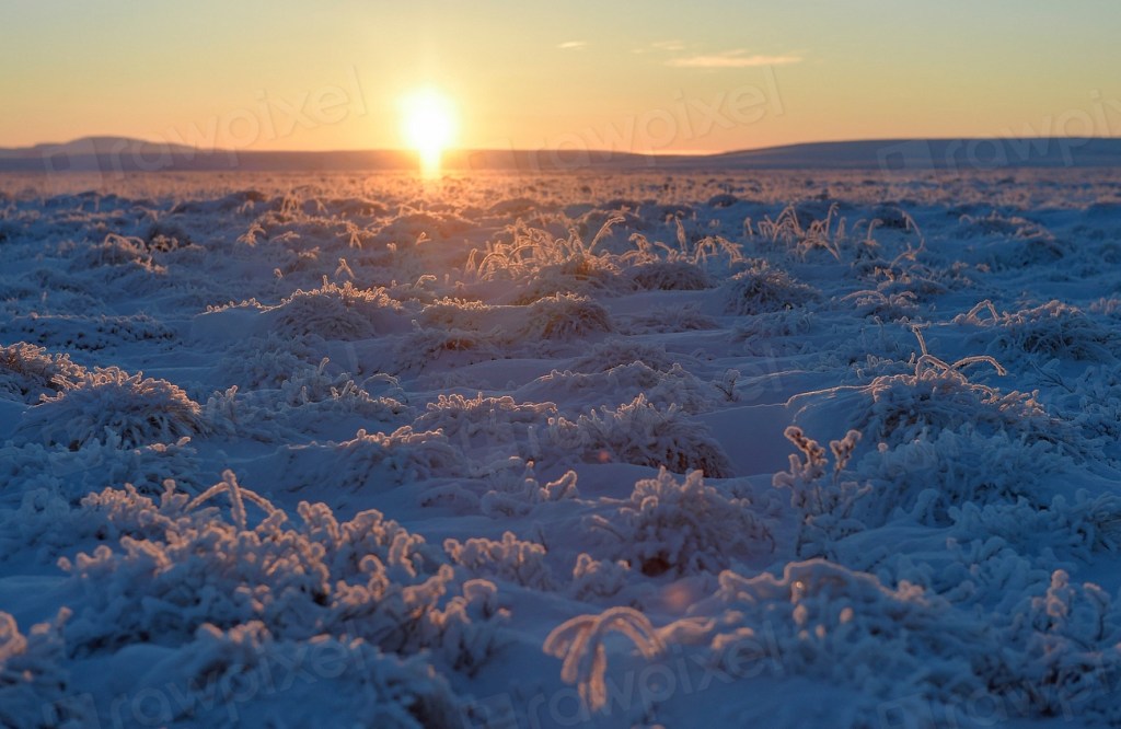 Losing yourself & having a Support&nbsp;System